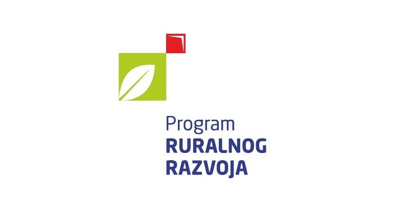 program-rur-raz-logo-810x432